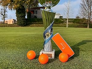 Silver trophy with twisted stem on golf course green, accompanied by three orange golf balls and an orange rectangular object. Trees and blue sky in background.