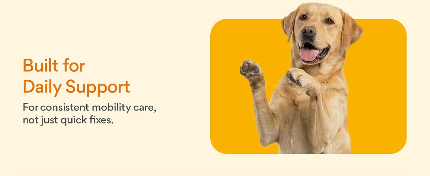 hip support for dogs