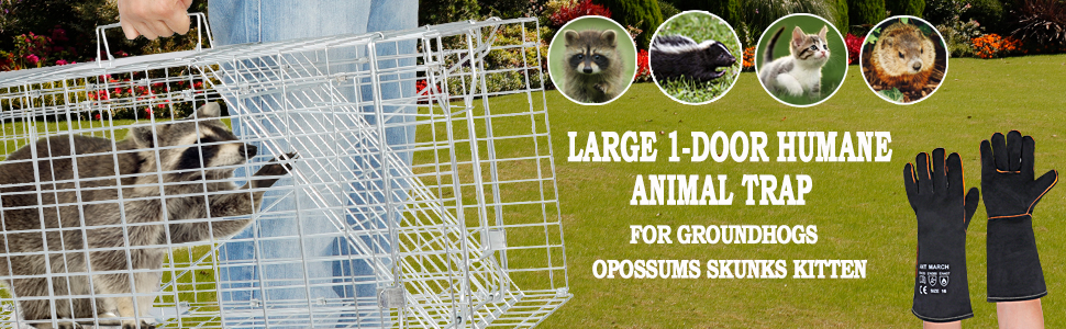ANT MARCH Live Animal Cage Trap 32''x11.5"x13" Steel Humane Release Rodent Cage with Gloves