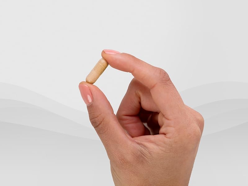 Capsule in Hand