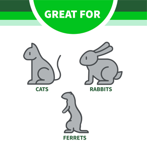Graphic of illustrations of a cat, rabbit and ferret