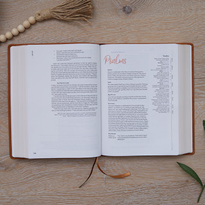 jennifer rothschild bible, mary jo sharp bible, priscilla shirer bible, character study bible, word