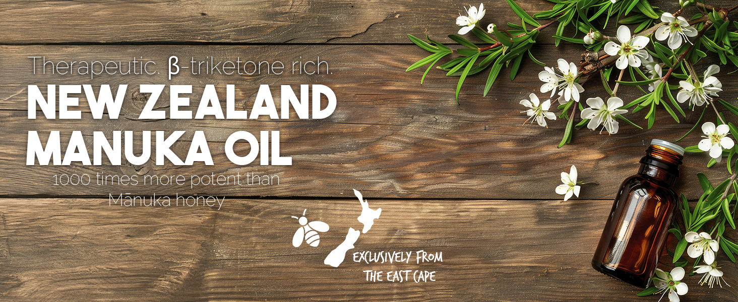 Manuka oil - therapeutic, more potent than Manuka honey