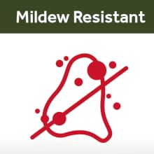 Mildew Resistant