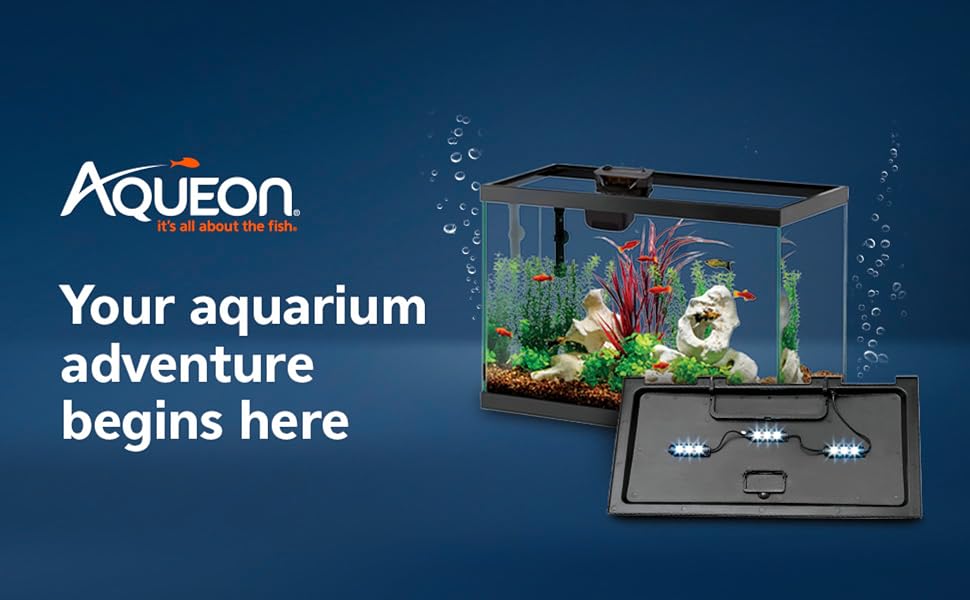 Your aquarium adventure begins here