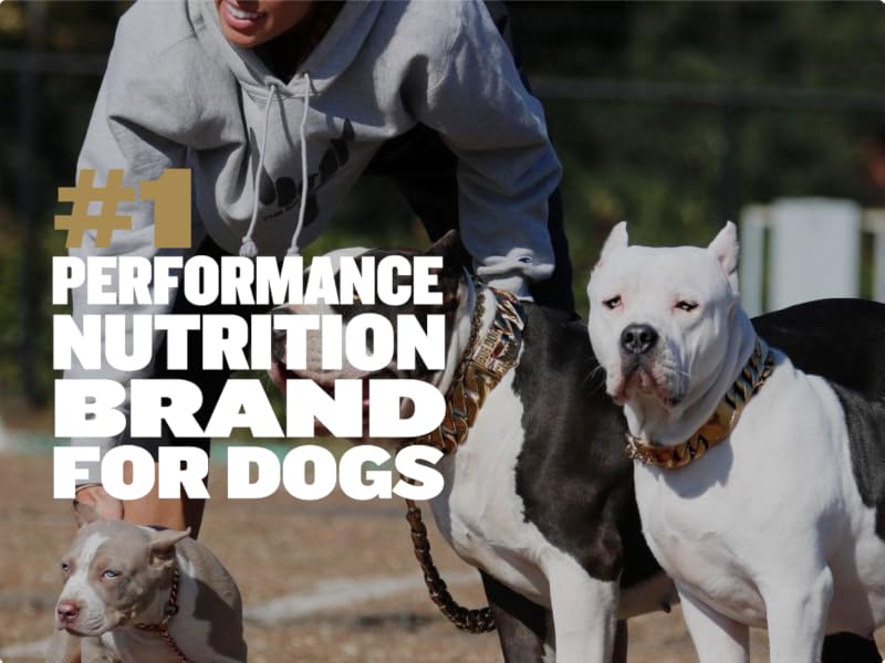 dry food small breed puppy food small bites dry dog food small bites dog food