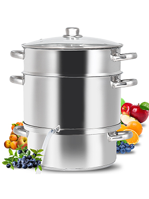 Steam pot
