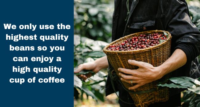 Top 2% Arabica Beans
