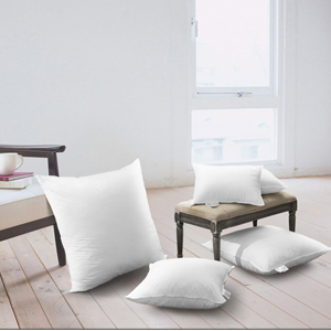 Throw Pillow Inserts