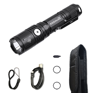 dog walking flashlight