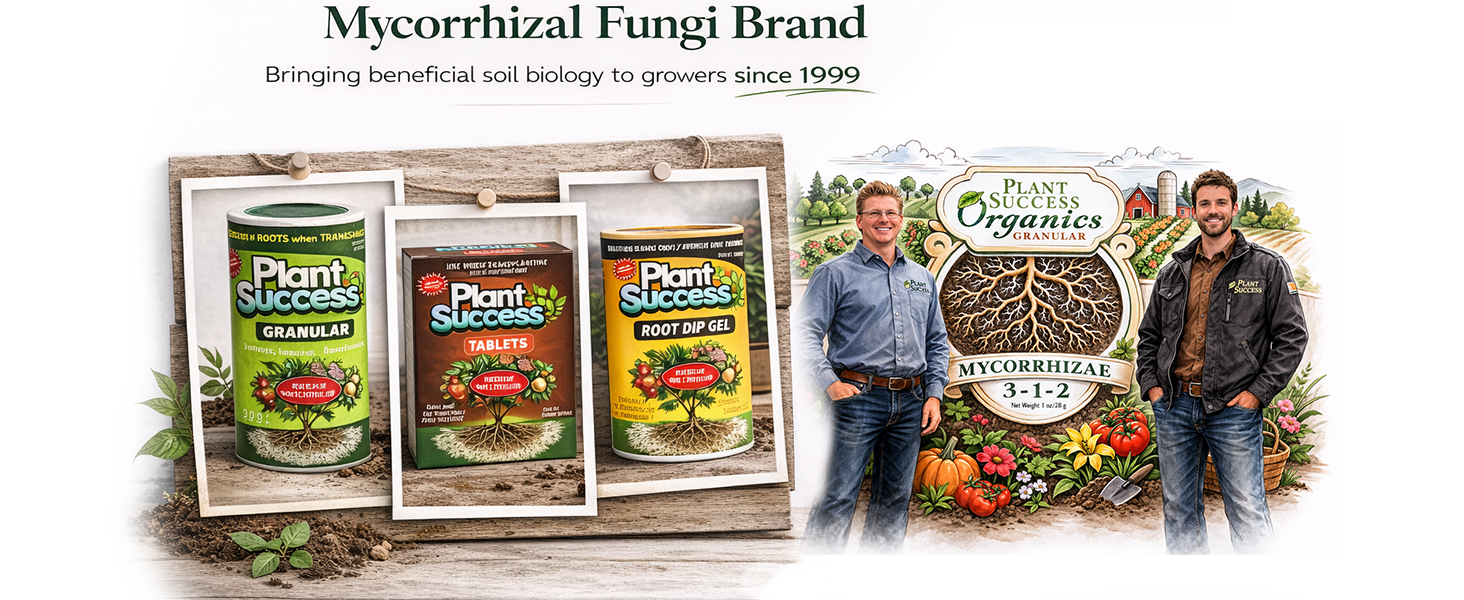 Plant Success Mycorrhizal Fungi