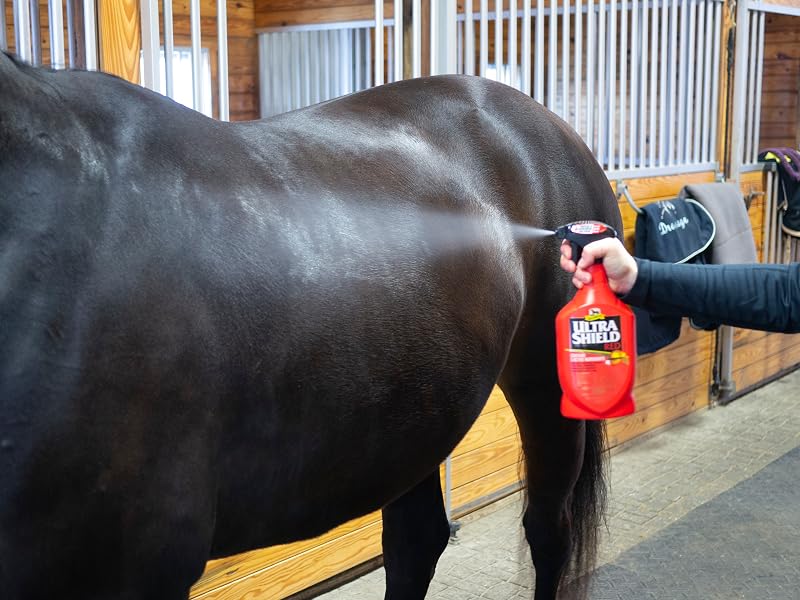UltraShield Green being sprayed onto a horse