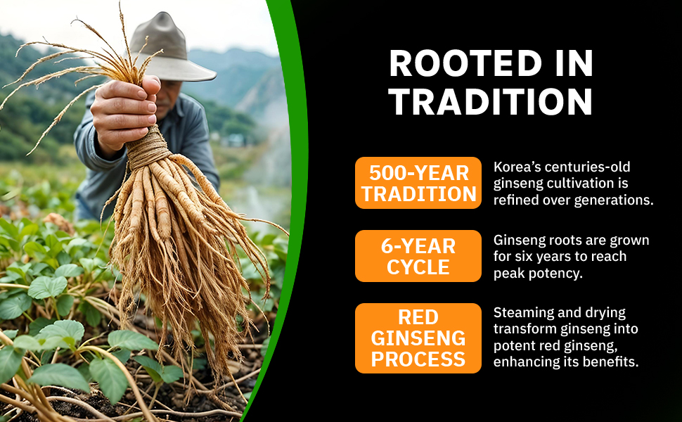 ginseng rooted in tradition