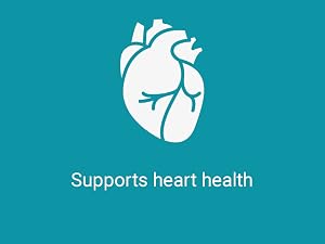 supplements brain kidney coq capsules natural antioxidants qunol organic