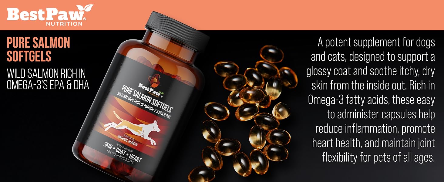 Salmon Oil For Dogs