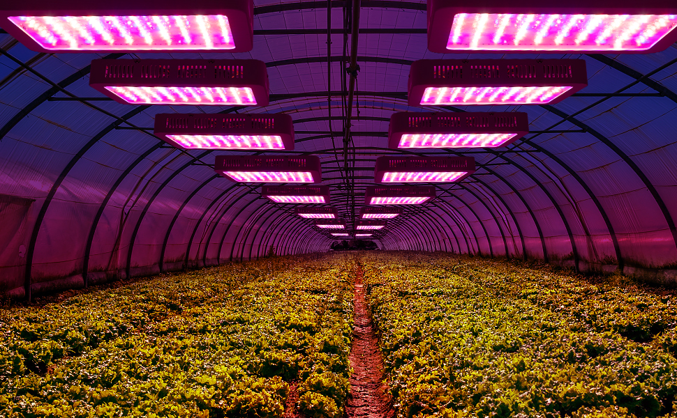 Beelux 1000W LED Grow Light