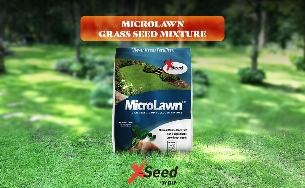 sprouting ryegrass professional microgreen chickens seeding builder thicker forage pasture horses