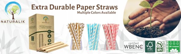 Paper Straws