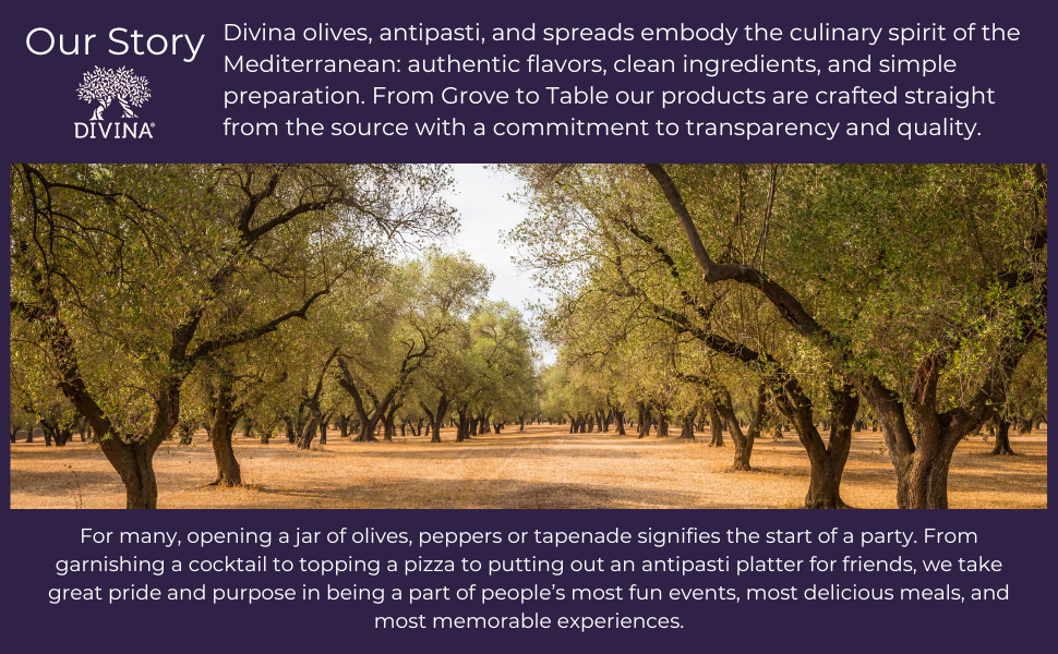 Our Story Divina