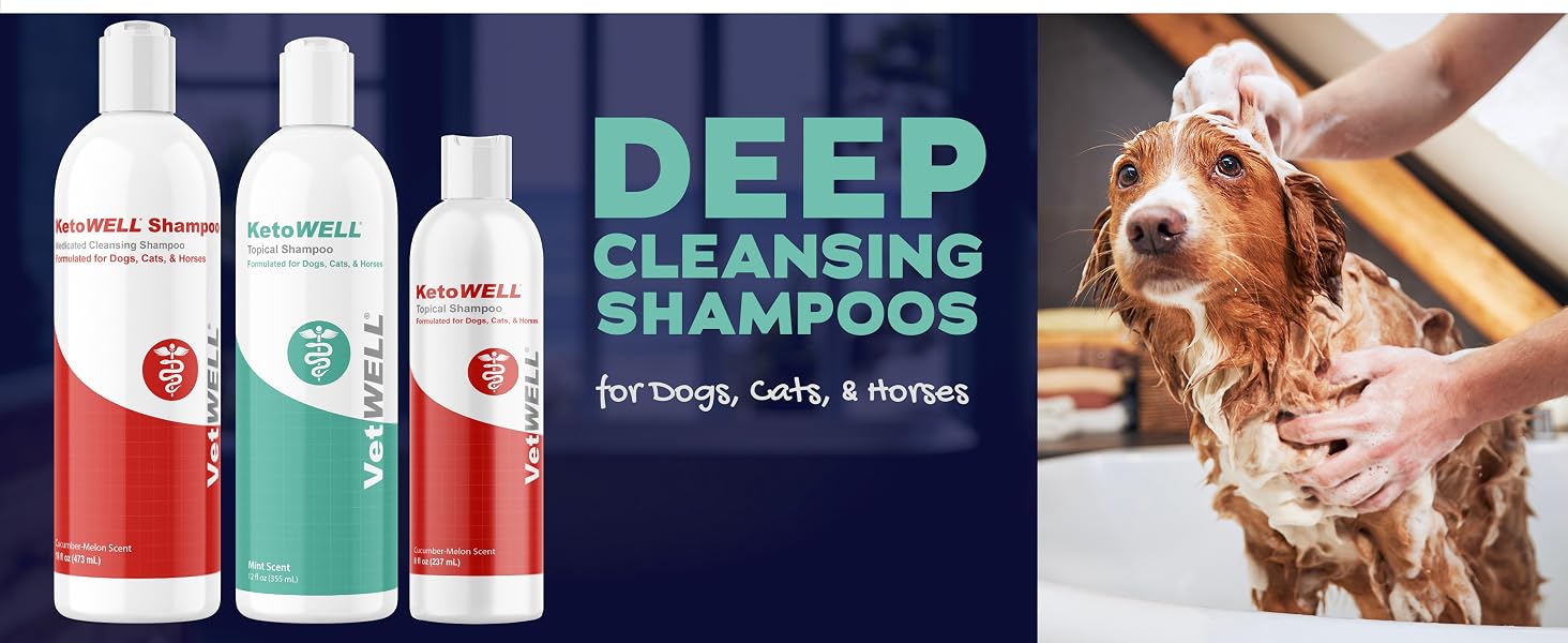 Shampoos