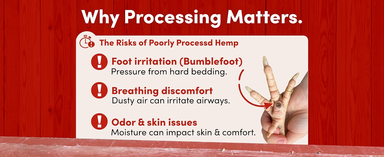 Why Processing Matters