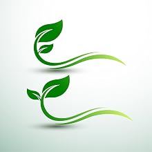 essential OIls