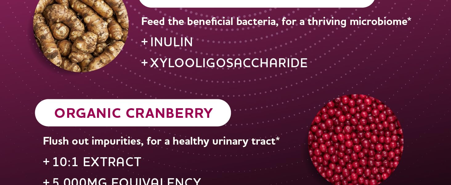 womens probiotics for gut health baginal probiotics for women best products for vaginal odor