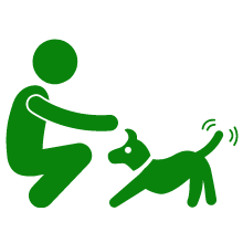 stomach, pets