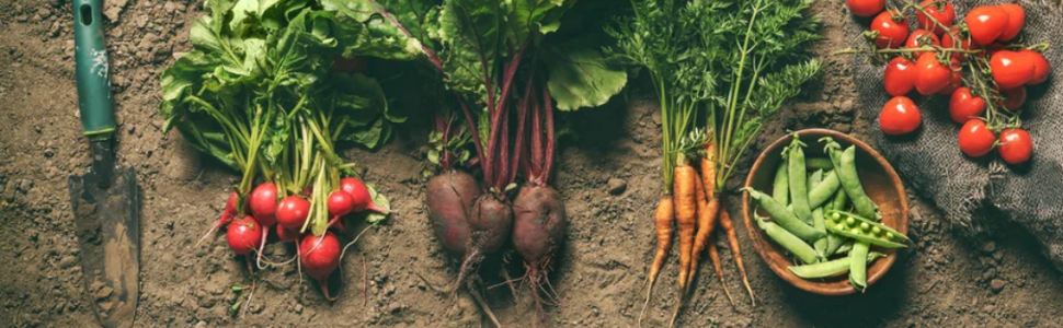 Gardening image