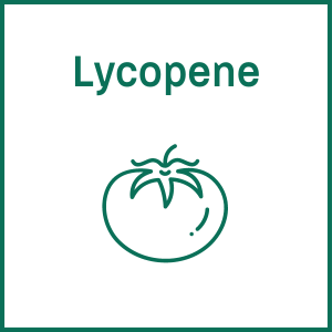 lycopene icon and picture of tomato