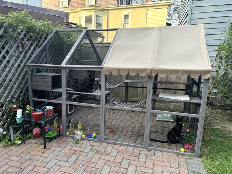 catio