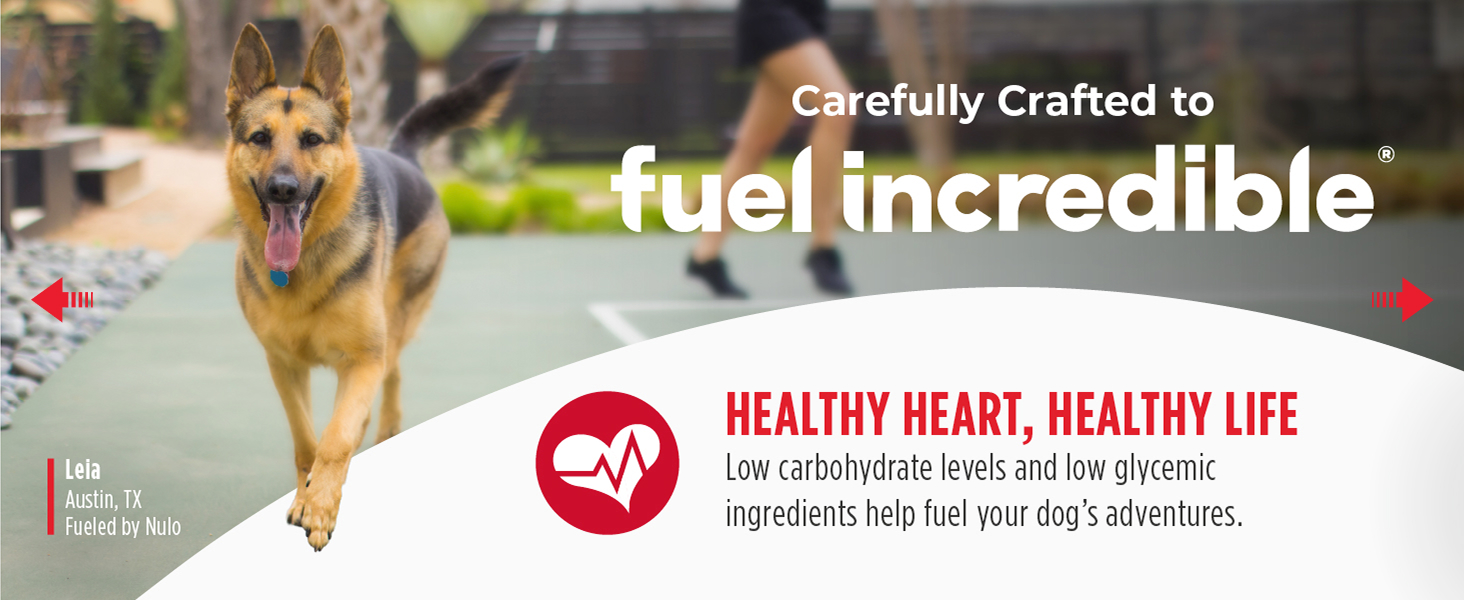 Image of dog with text reading healthy heart healthy life.