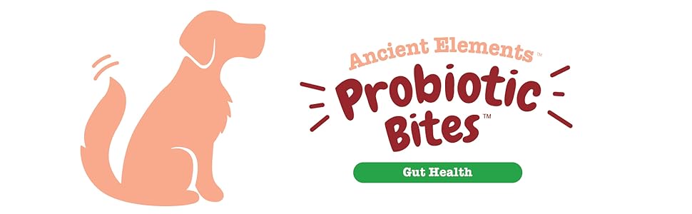 naturals daily amazing nutritonals anal gland supplement probiotic probiotics for dogs daily joint