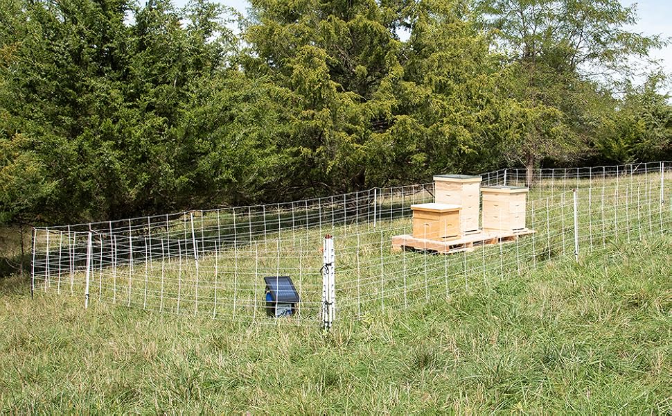 bee fence energizer bear premier