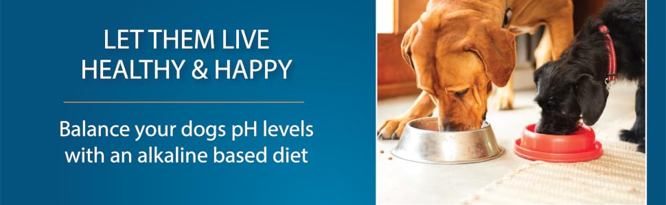 Dog Food
