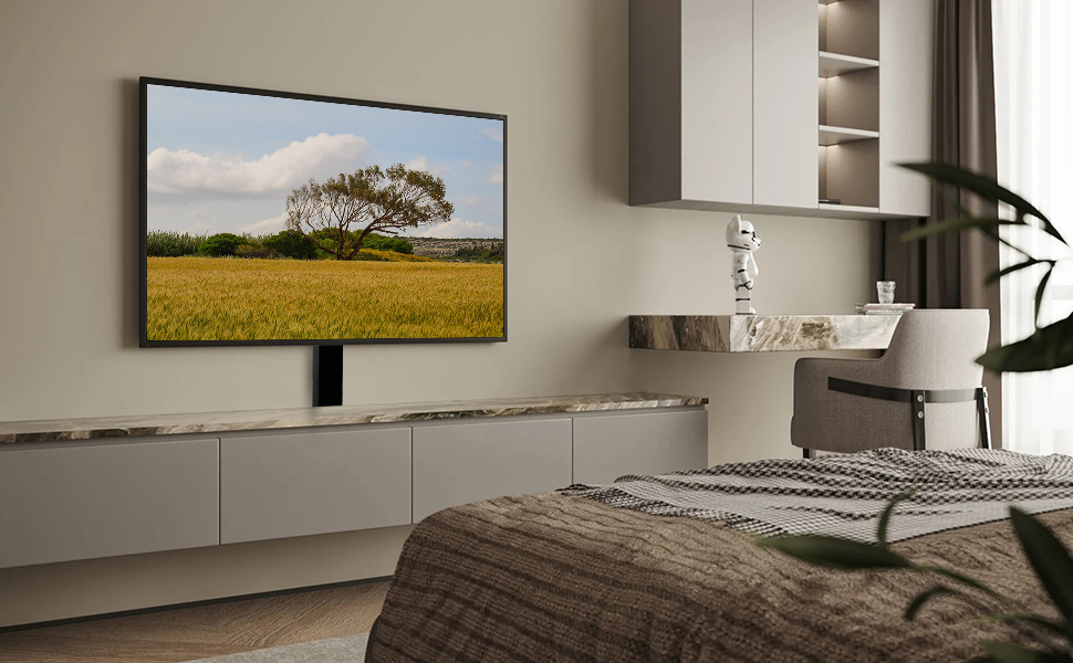 Fromann Motorized TV Lift Mount