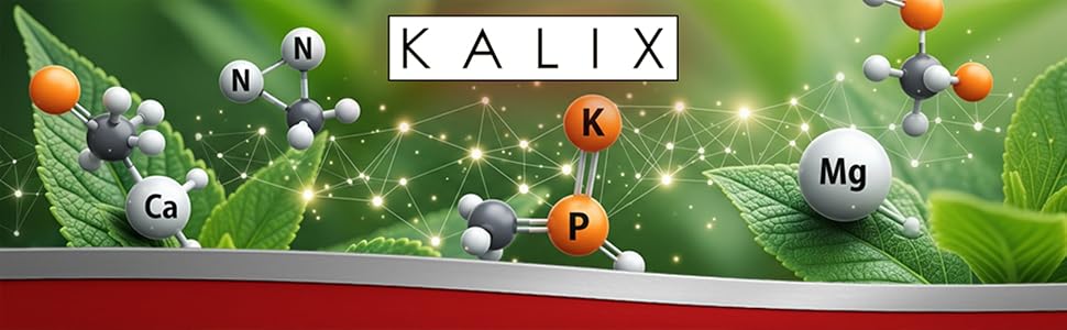 Molecular structure of crop minerals over lush plants, symbolizing soluble nutrients and uptake