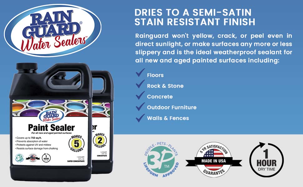 paint sealer rain guard