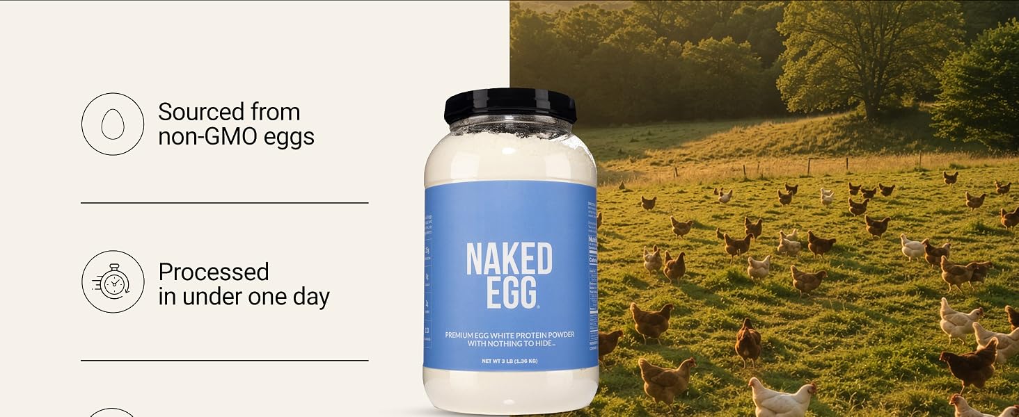 egg powder protein