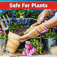 pest control safe for plants