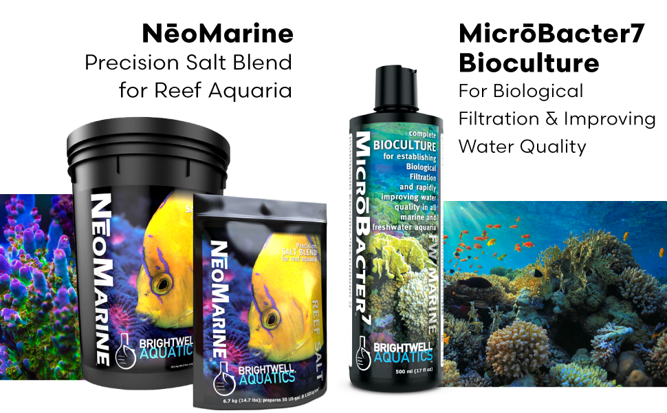 rpm coral pro vibrant sea accurasea boi-actif salinity reefer salt