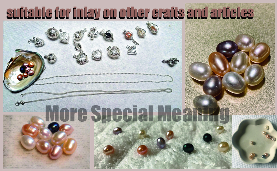 Freshwater Pearl Cultured Love Wish Pearl Oyster