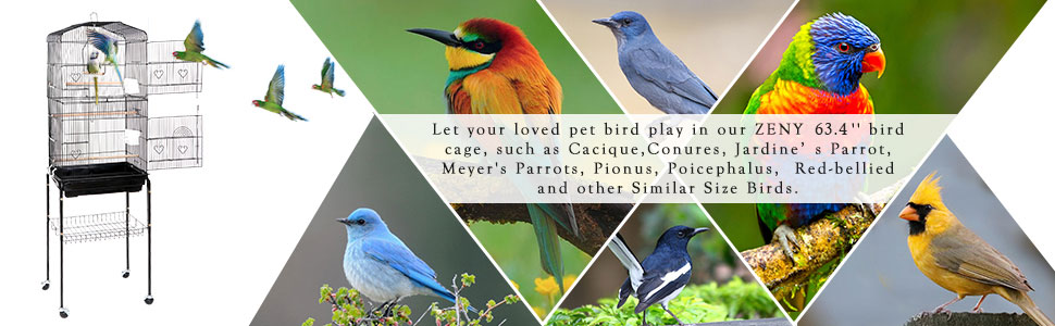 bird cage