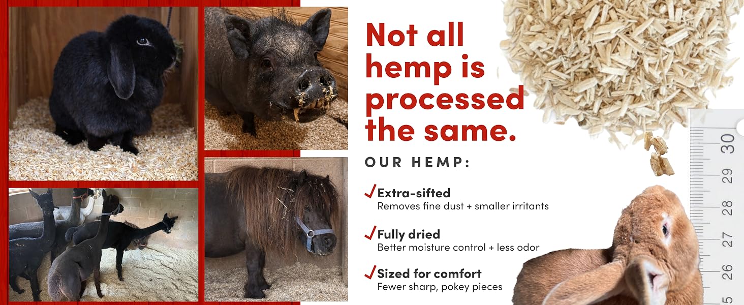 Not all hemp is processed the same