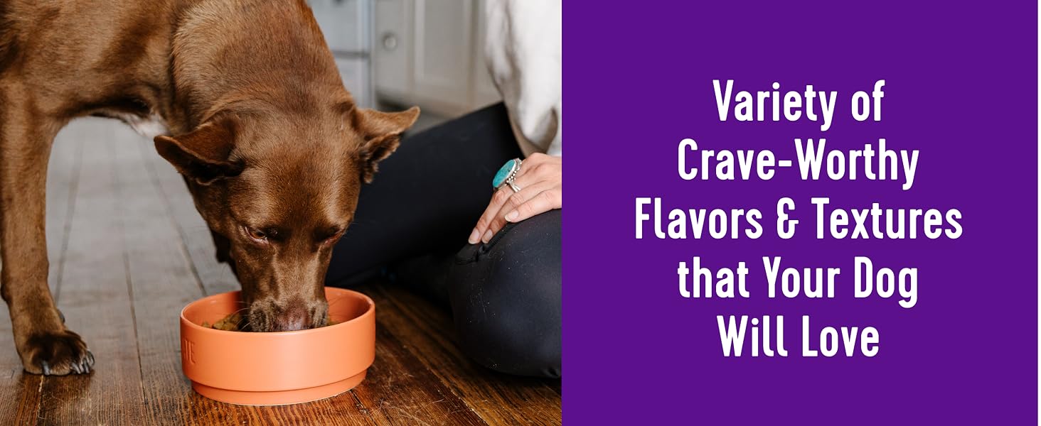 Variety of Crave-Worthy Flavors &amp;amp; Textures that Your Dog Will Love
