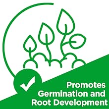 Promotes Germination and Root Development