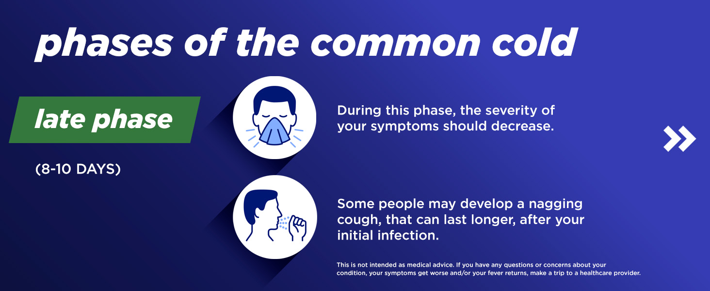phases of a common cold