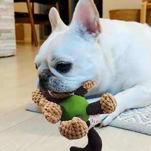 Dog Toy