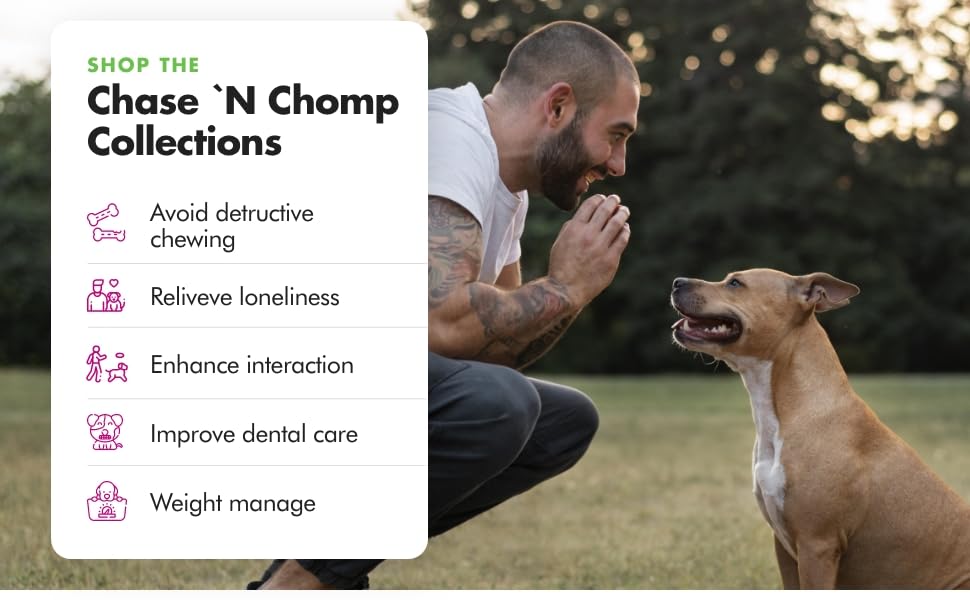 chase n chomp collections