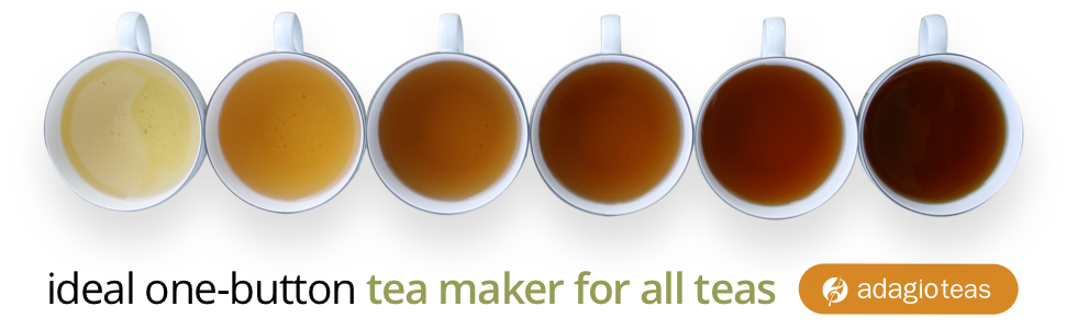 velocitea top
